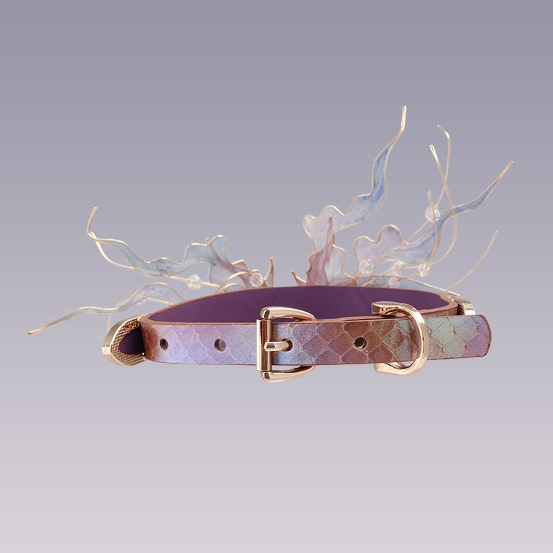 Iridescent Fairy Wing Fantasy Choker Collar